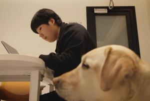 ̿Ƽ, ð ȭ ٱ   1500 