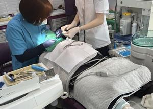 ���������, ���ҵ� ����� �����ǰ������� ���� 2026�� ������� ���� ����